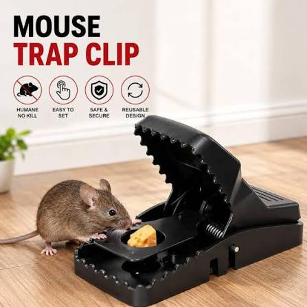 Heavy Duty Mouse Catcher | Mouse Trap