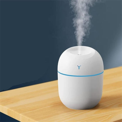 PORTABLE HUMIDIFIER (WITHOUT FRAGRANCE)