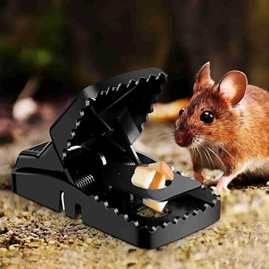Heavy Duty Mouse Catcher | Mouse Trap