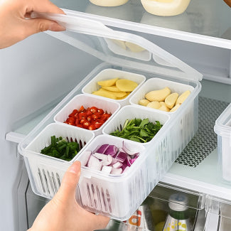 6-IN-1 Kitchen Scallion Storage Box Container