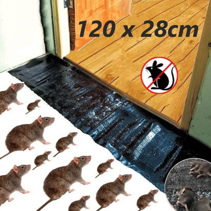 Super Glue Rat Magic Carpet – (IMPORTED)